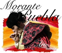 Cargar imagen en el visor de la galería, Sudadera con capucha PERSONALIZADA en la espalda